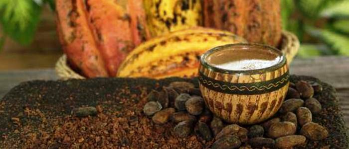 costa rican cocoa and its properties