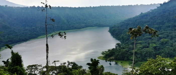 laguna de hule in the costa rica rainforest