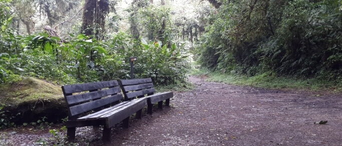 monteverde cloud forest reserve tour