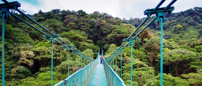 monteverde hanging bridges tour from san jose