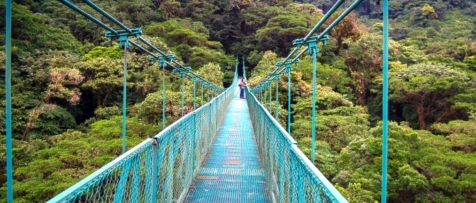 monteverde hanging bridges trip at selvatura park
