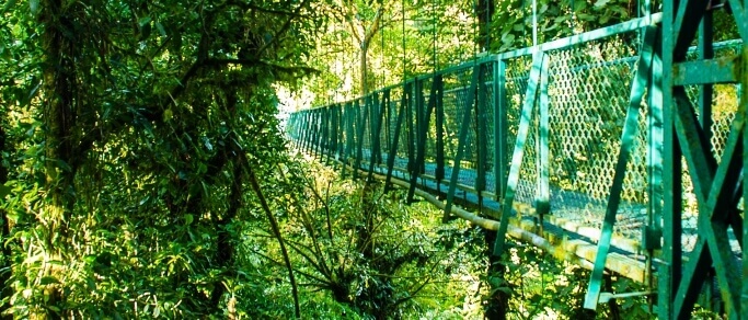 monteverde hanging bridges trip from santa elena