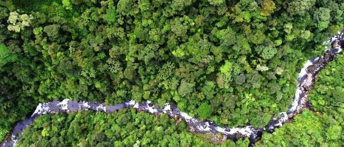 braulio carrillo national park is the largest of the central region of costa rica