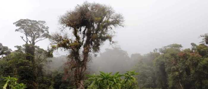 vacation in costa rica visiting cerro dantas wildlife refuge