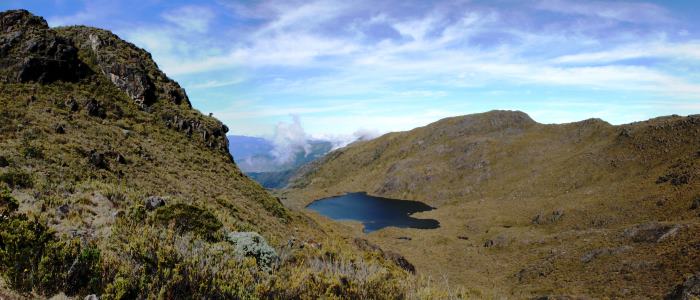 chirripo national park