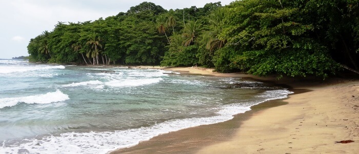 The beaches on the Caribbean Sea side of Costa Rica are surrounded by rainforest vegetation