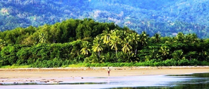 The Costa Rica Beaches of the Central and South Pacific Regions are also covered with lush rainforest vegetation