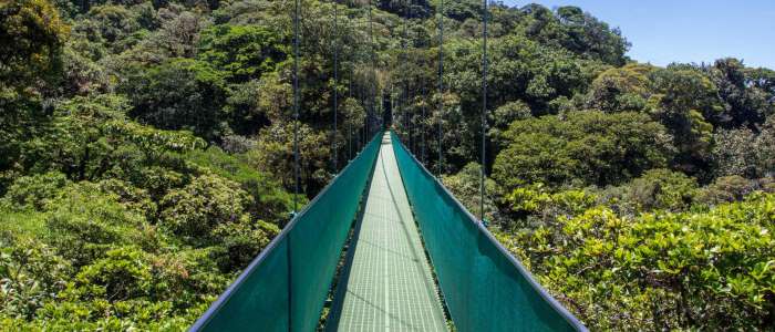 Monteverde hanging bridges