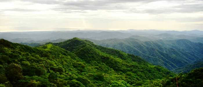 Diria National park in Guanacaste, Costa Rica