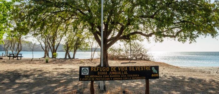 Speaking more thoroughly the species of flora and fauna found in the region both fruit trees and timber are present in the shelters