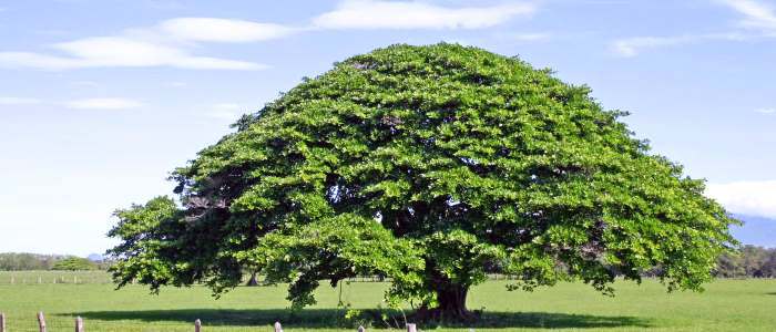 the guanacaste national park is a great place for a vacation in costa rica because there are many places to visit