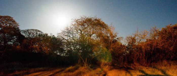 the access to the guanacaste national park is very easy since there are multiple roads that will take you there