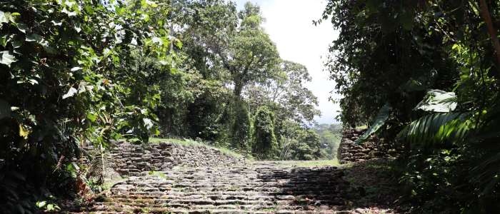 Stone roads