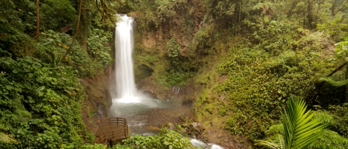la paz waterfall gardens costa rica