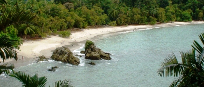 manuel antonio national park rainforest