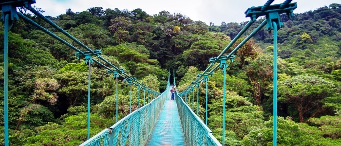 Selvatura hanging bridges
