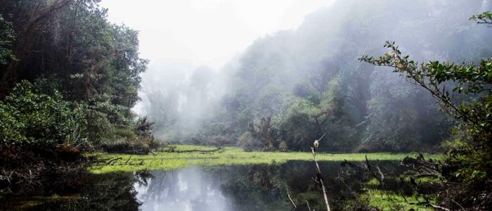 the braulio carrillo national park can be accessed from the central valley