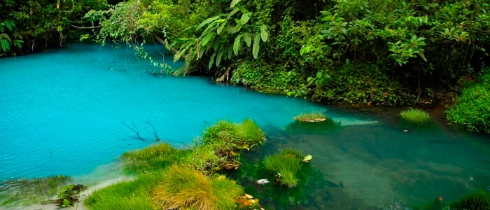 The famous and amazing Blue River or “Rio Celeste” at the Tenorio Volcano National Park