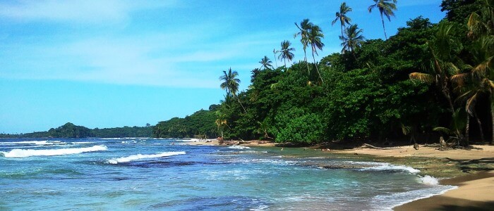 Beach and vegetation