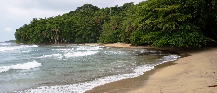 puerto viejo de limon nature