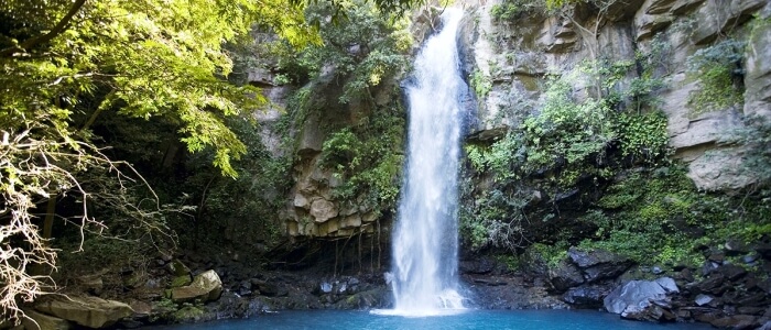 Visit a Waterfall during the Rincon de la Vieja National Park tour from Guanacaste
