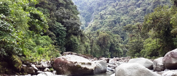 Tapanti National Park is an excellent place to observe the Costa Rica Rainforest