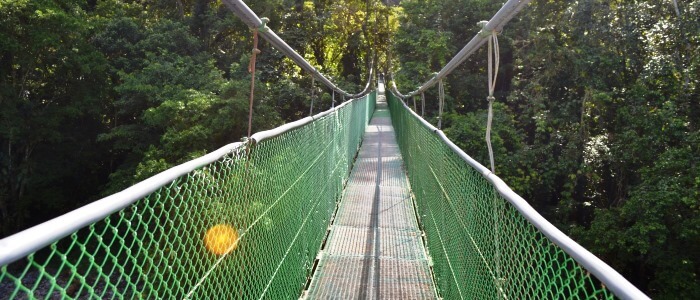 Amazing hanging bridge crossing the Sarapiqui River