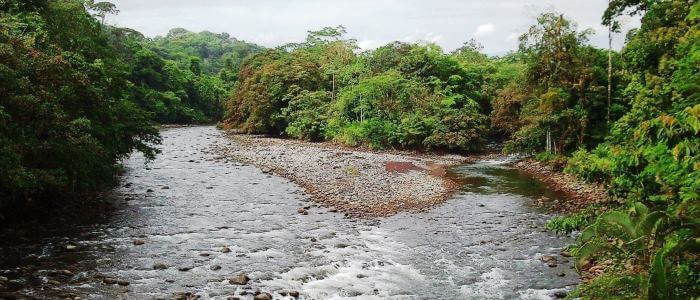 Sarapiqui River view from Tirimbina Biological Reserve