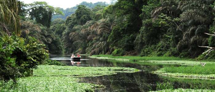 Remote Tortuguero Area