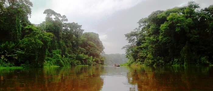 tortuguero national park