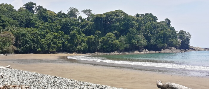 Uvita Beach now has a great an easy access from San Jose city, so you can visit it on your Costa Rica vacation