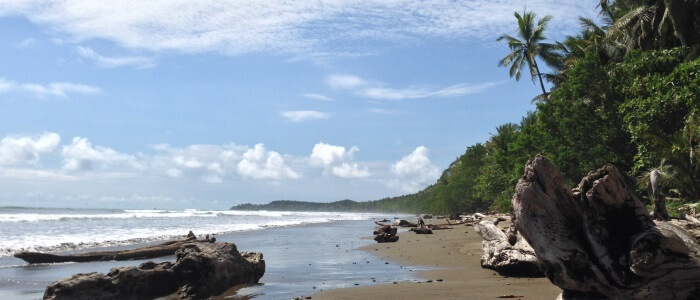 Visit Uvita Beach during your next trip to Costa Rica