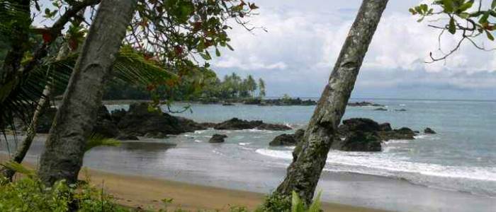 drake bay is one of the most beautiful and natural places in costa rica