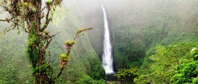 arenal volcano experience tour san fernando waterfall