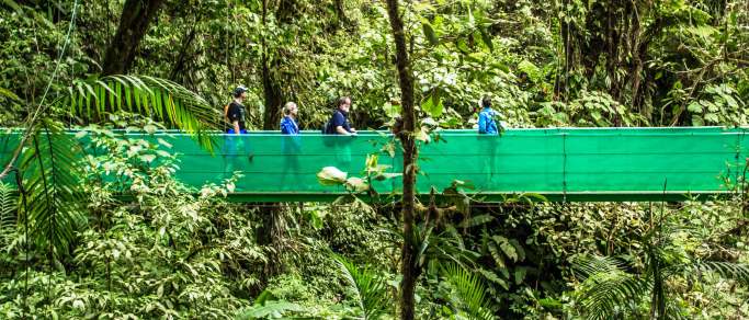 costa rica hanging bridges tour in monteverde