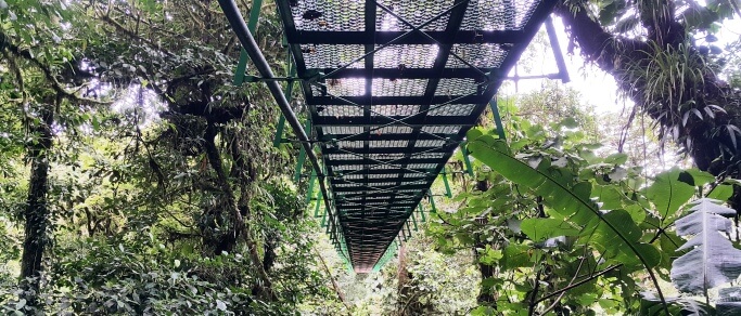 hanging bridges tour from san jose