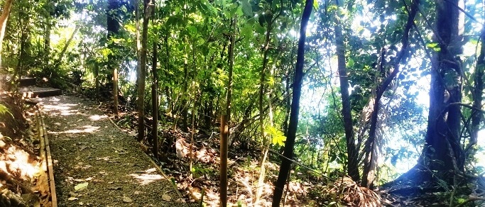 manuel antonio park rainforest trails
