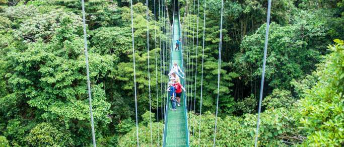 monteverde hanging bridges cloud forest aerial tram tour