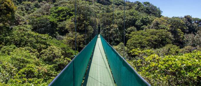 monteverde hanging bridges day tour from jaco