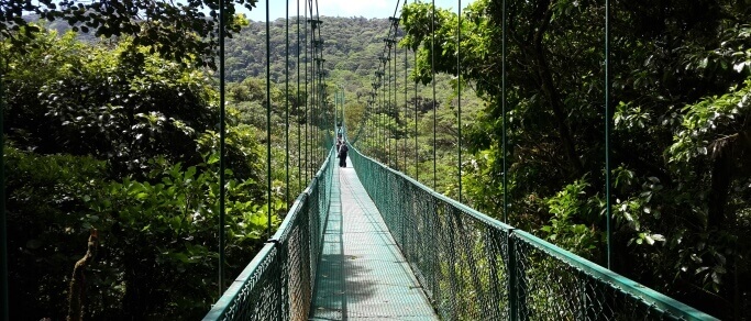monteverde hanging bridges trip in costa rica