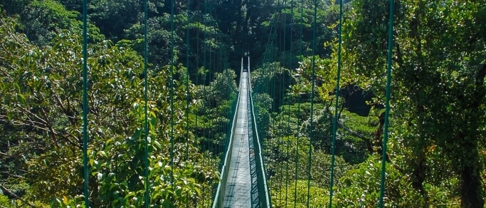 monteverde hanging bridges trip nature walk