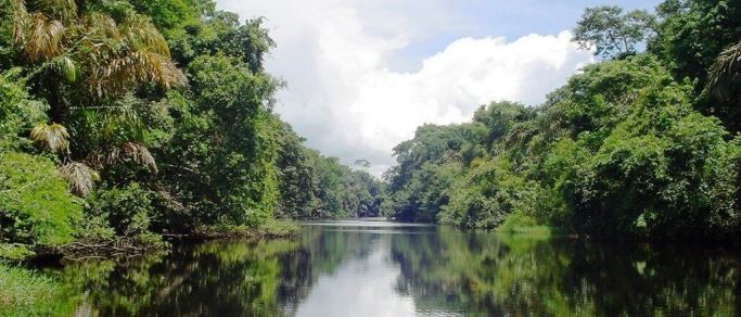 Tortuguero National Park One Day Trip from San Jose