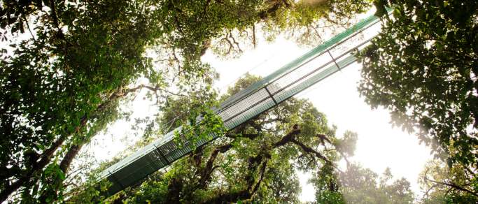tour to monteverde hanging bridges from santa elena
