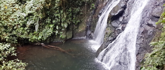 Great tour from San Jose to observe & swim in waterfalls!